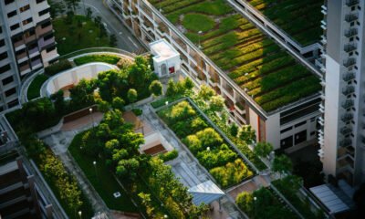Agriculture urbaine, la tendance