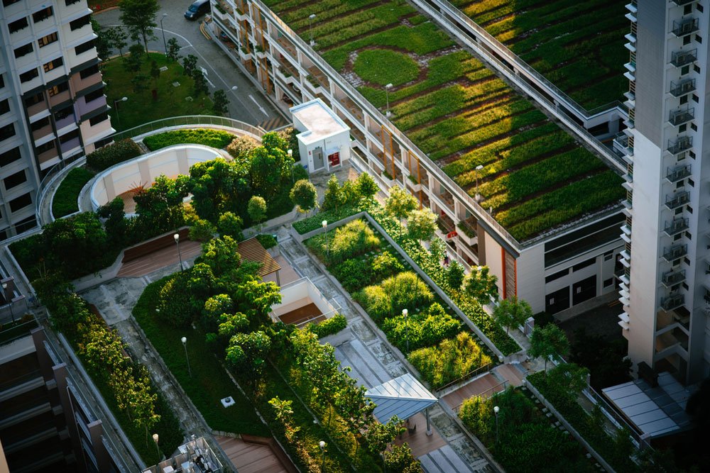 Agriculture urbaine, la tendance