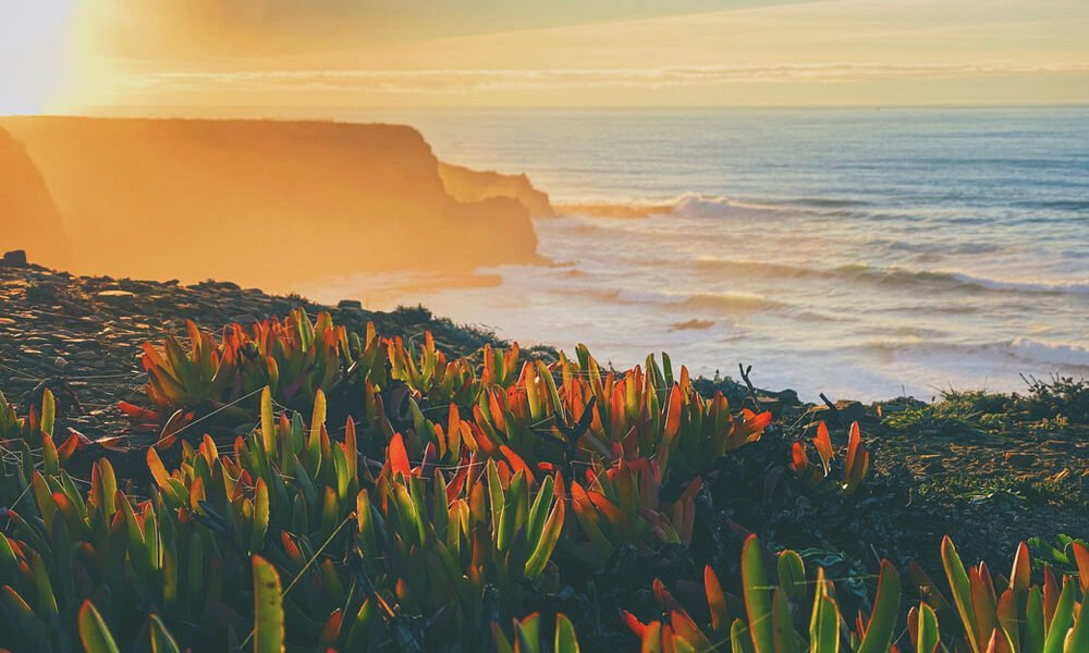L’Algarve et les 7 plus belles plages de la côte Vicentine