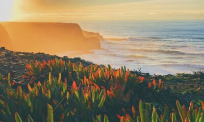 L’Algarve et les 7 plus belles plages de la côte Vicentine