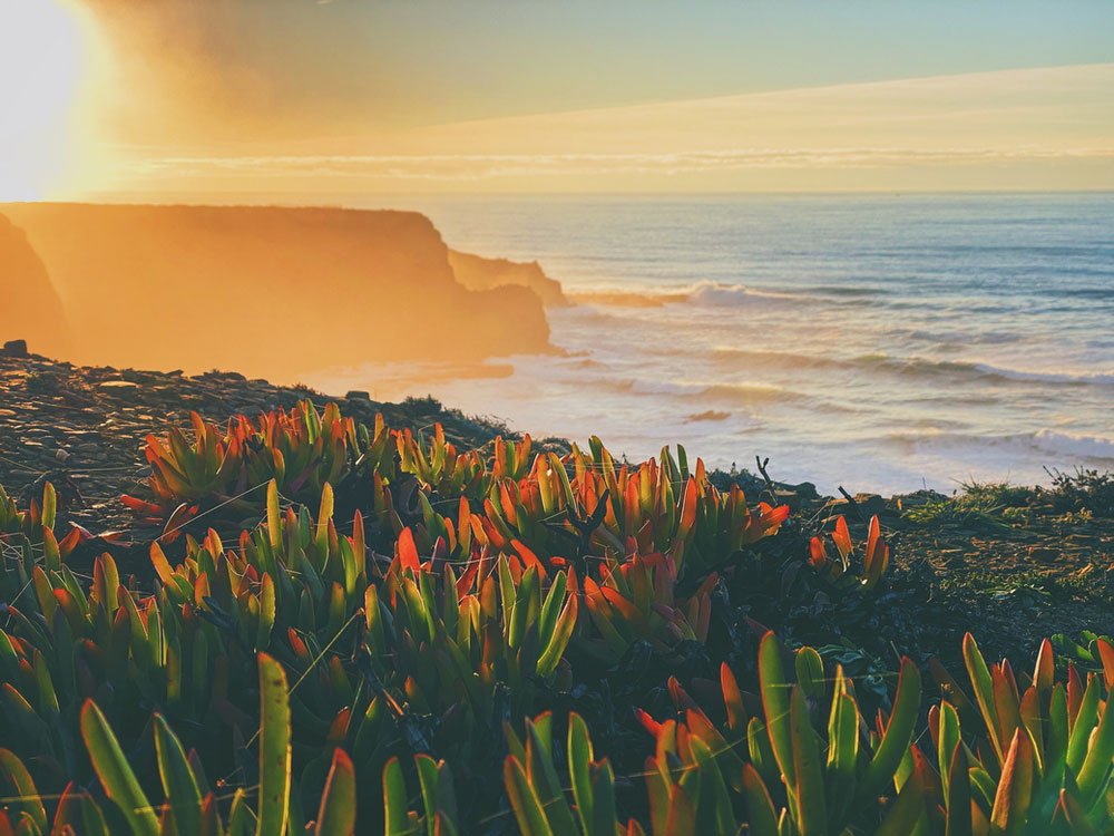 L’Algarve et les 7 plus belles plages de la côte Vicentine