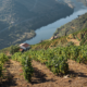 Le Douro Patrimoine Mondial commémore 20 ans avec un hymne et un vin, parmi 100 initiatives
