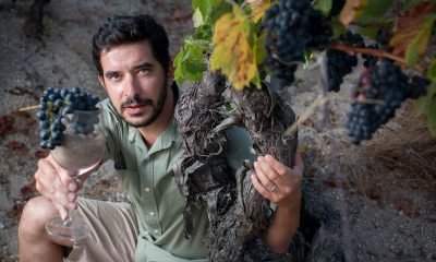 António Madeira : Un lusodescendant dans les vieilles vignes du Dão
