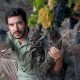 António Madeira : Un lusodescendant dans les vieilles vignes du Dão