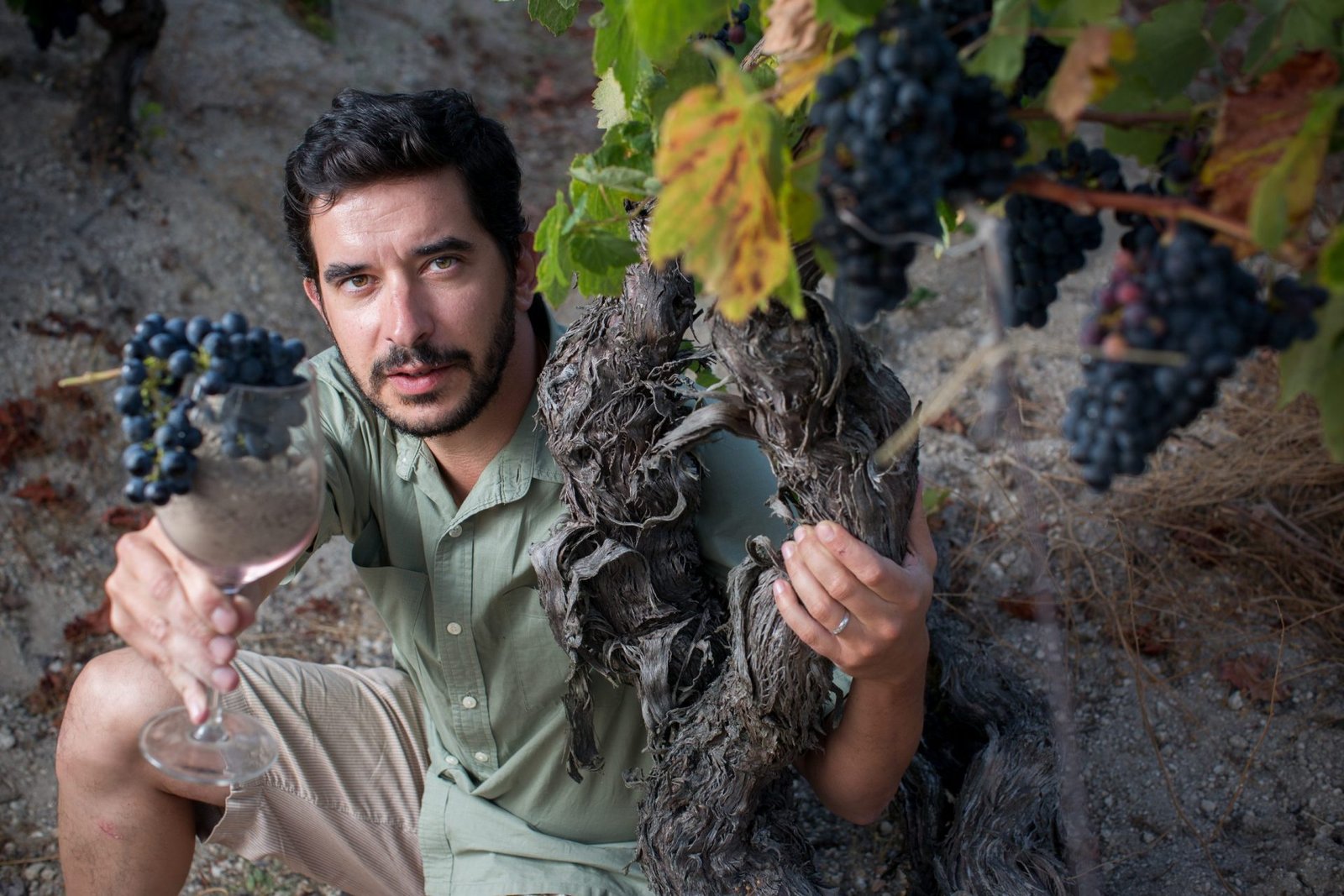 António Madeira : Un lusodescendant dans les vieilles vignes du Dão António Madeira : Un lusodescendant dans les vieilles vignes du Dão