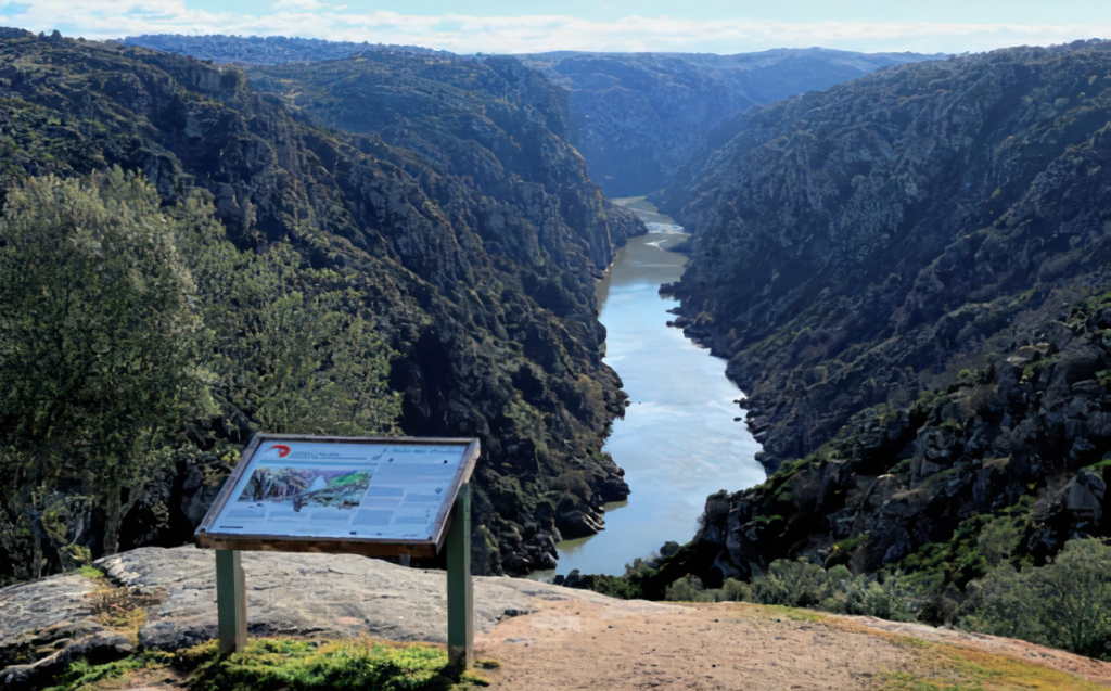 Parc Douro international
