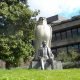 Lisbonne : Journée Calouste Gulbenkian