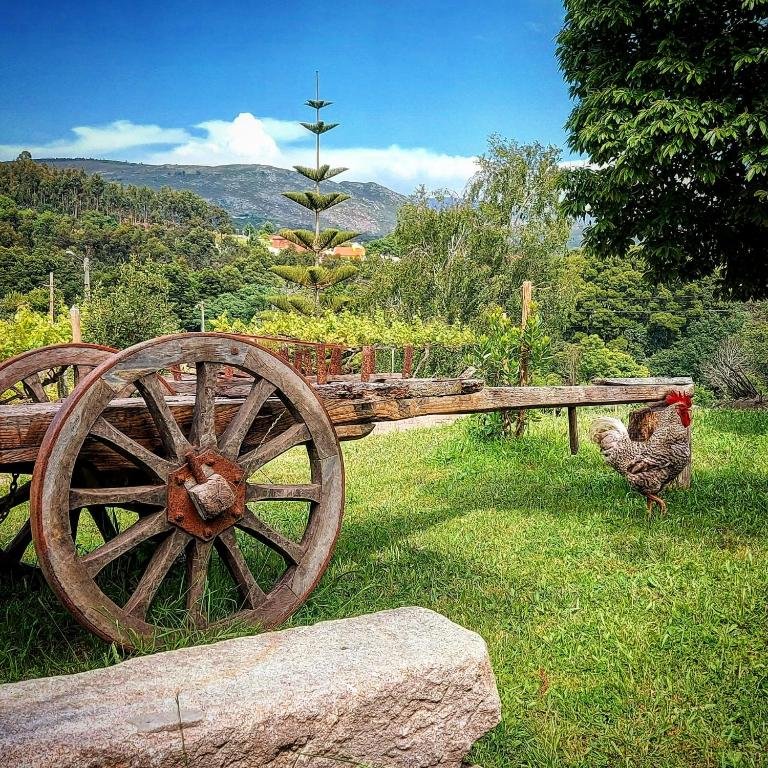 Quinta das quinhas jardim