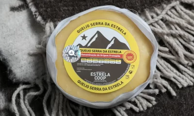 Fromage Serra da Estrela : dans le top 10 des meilleurs au monde